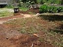 Landscaping begins
