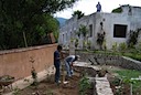 Planting roses below